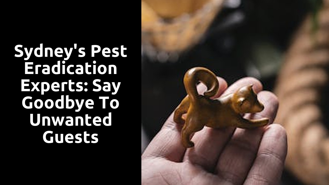 Sydney's Pest Eradication Experts: Say Goodbye to Unwanted Guests
